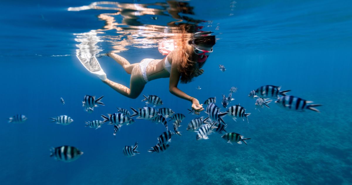 plongée avec masque et tuba à Krabi