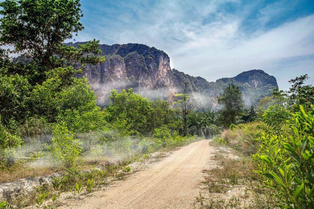 un simple chemin de terre menant à travers les arbres de Krabi avec les montagnes calcaires en arrière-plan