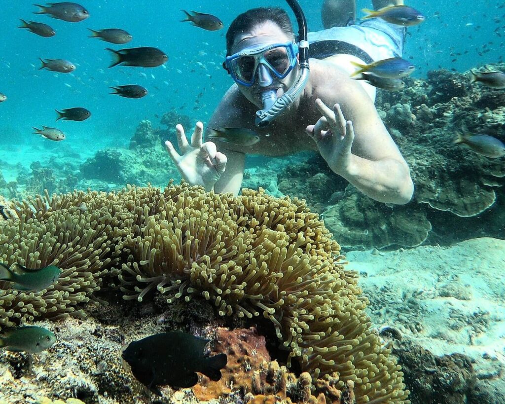 hombre en apnea con una máscara de snorkel con diferentes especies de peces y corales