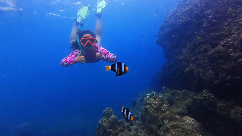 Niño buceando con tubo acercándose a dos peces payaso que nadan cerca de un saliente del arrecife.